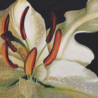 Floraly, Fleur De Nuit